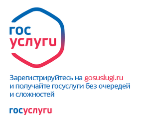 Портал госуслуг